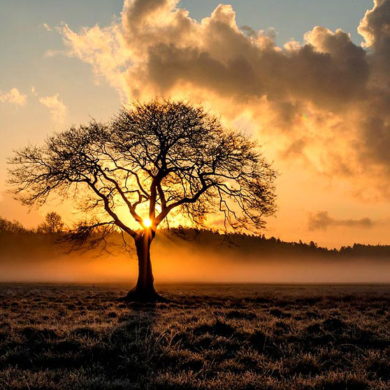 悩みを根本から解消